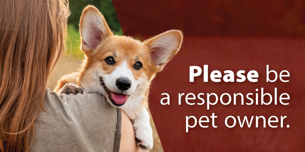 Pet-Owners—News-1200×600