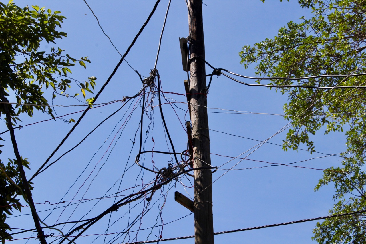 BottlebrushElectricity